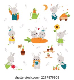 Cute Bunny Character with Orange Carrot Crop in the Garden Vector Set