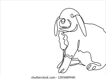 Cute bunny continuous line drawing