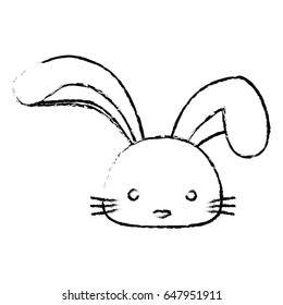 cute bunny design