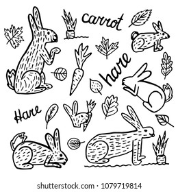 cute bunny. Doodle rabbit illustration, hare hand drawn drawings