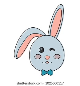 cute bunny face cartoon funny animal