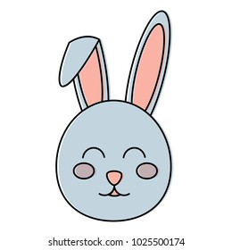 cute bunny face cartoon funny animal