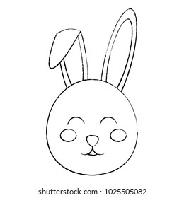 cute bunny face cartoon funny animal