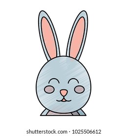 cute bunny face cartoon funny animal