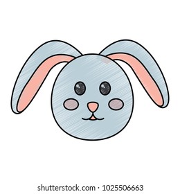 cute bunny face cartoon funny animal