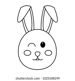 cute bunny face cartoon funny animal