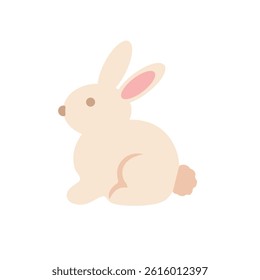 Cute Bunny Fluffy Pet Animal 