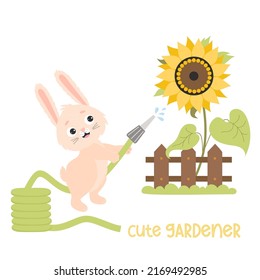 Cute bunny gardener. Rabbit waters yellow sunflower with hose behind wooden fence. Vector illustration. Funny hare character for kids collection, cards, covers, design, farm decor and prints