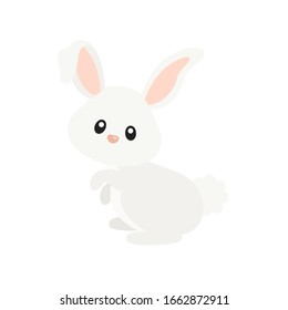 Cute Bunny Illustration on White