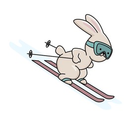 Cute Bunny On Ski. Vector Color Isolated Illustration In Outline Style With Winter Outdoors Activity.