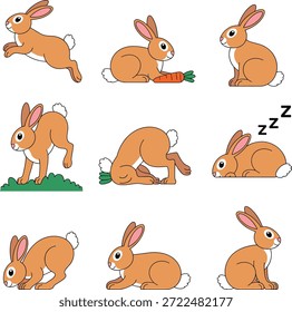 Ilustrações de atividade de coelho coelho bonito
