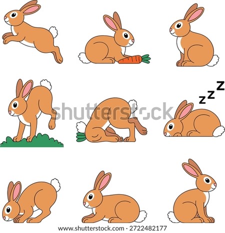 Cute Bunny Rabbit Character Activity Illustrations