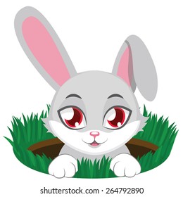 Cute Bunny In Rabbit Hole