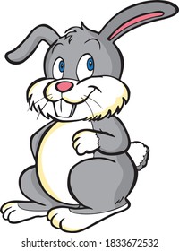 Cute bunny rabbit isolated on white background