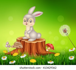 Cute bunny sitting on tree stump