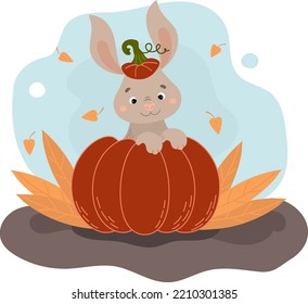 cute bunny sitting in a pumpkin, Happy Halloween. Autumn poster vector illustration