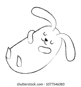 cute bunny sleeping animal cartoon