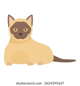 Cute burmese cat is lying and resting on a white background, domestic animal illustration