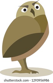 Cute Burrowing Owl