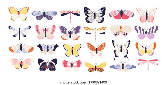 Hermosas mariposas. Las alas de colores de la mariposa de primavera decorativa. Monarca, polilla y libélula. Juego de vectores planos de insectos florales y tropicales hermosos. Monarca de primavera y mariposa, ilustración animal de insectos