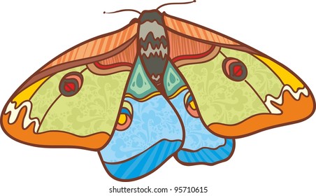 Cute butterfly