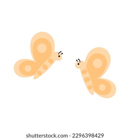 Cute butterfly and beautiful insect, image of natural in spring and summer on white background.