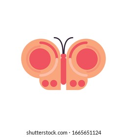 Cute butterfly cartoon fill style icon design, Animal zoo life nature character childhood and adorable theme Vector illustration
