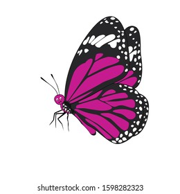 Cute Butterfly Cartoon Isolated On White Stock Vector (Royalty Free ...