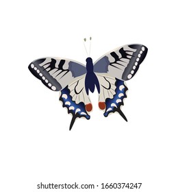 Cute Butterfly Cartoon Vector Illustration 