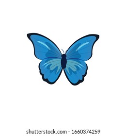 Cute Butterfly Cartoon Vector Illustration 