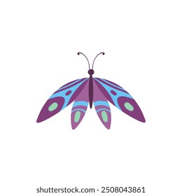 Cute butterfly. Decorative spring butterfly colorful wings. Monarch, moth and dragonfly. Tropical beautiful floral insect flat vector icon. Spring monarch and butterfly, insect animal illustration