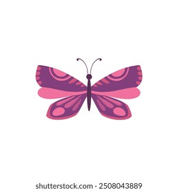 Cute butterfly. Decorative spring butterfly colorful wings. Monarch, moth and dragonfly. Tropical beautiful floral insect flat vector icon. Spring monarch and butterfly, insect animal illustration