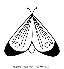 Cute butterfly in doodle style. Butterfly isolated on white background. Linear butterfly. Vector illustration.