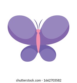 Diseño de icono de estilo plano de mariposa, alas animales de insectos naturaleza mosca de verano belleza y tema de resorte Ilustración vectorial