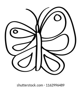 cute butterfly flying insect nature