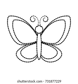 cute butterfly garden insect animal wildlife
