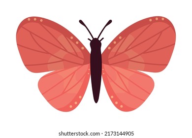 cute butterfly icon flat isolated