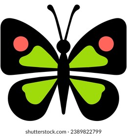 cute butterfly isolate on white background