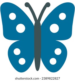 cute butterfly isolate on white background