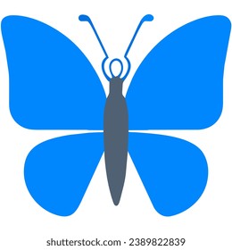 cute butterfly isolate on white background
