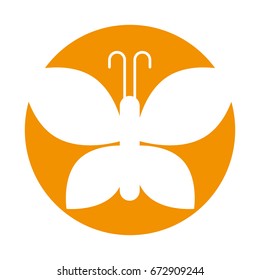 cute butterfly isolated icon