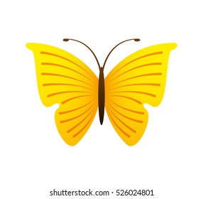 cute butterfly isolated icon vector illustration design