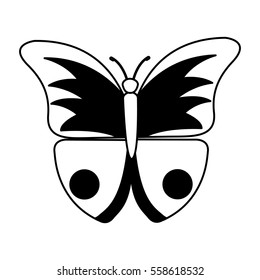cute butterfly isolated icon vector illustration design