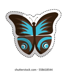 cute butterfly isolated icon vector illustration design
