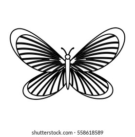 cute butterfly isolated icon vector illustration design