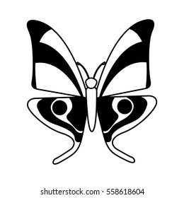 cute butterfly isolated icon vector illustration design