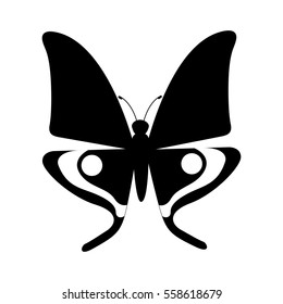 cute butterfly isolated icon vector illustration design