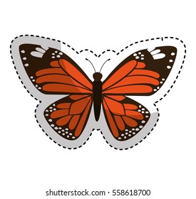 cute butterfly isolated icon vector illustration design