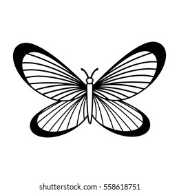 cute butterfly isolated icon vector illustration design