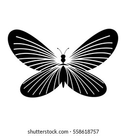 cute butterfly isolated icon vector illustration design